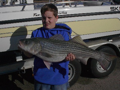 Another Huge Whitney Striper!