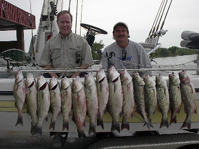 More Bridgeport Fish.