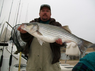 Big Whitney Striper